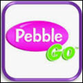a photo of pebble go