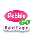 Bald Eagle Pebble Go