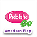 American Flag Pebble Go