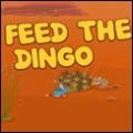feed the dingo